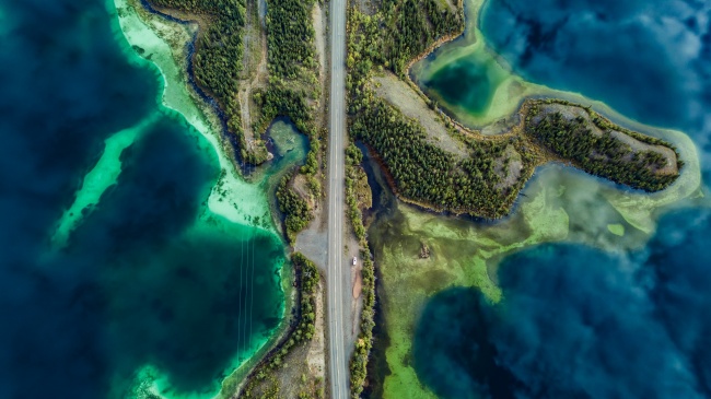 2025属牛人全年运势1985男