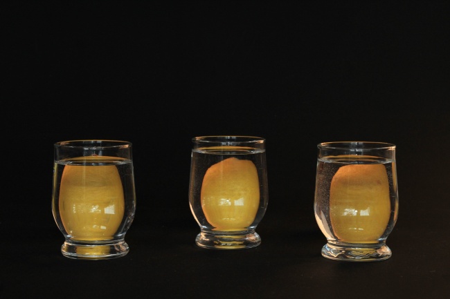 属虎一碰就发财的专业