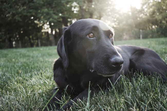 属龙女戴什么手链转运