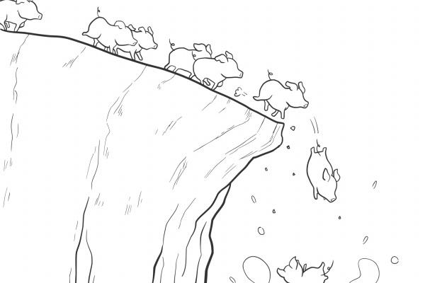 几点出生的鸡最有福气