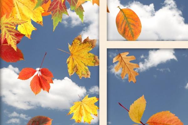 2025属蛇要小心一个人