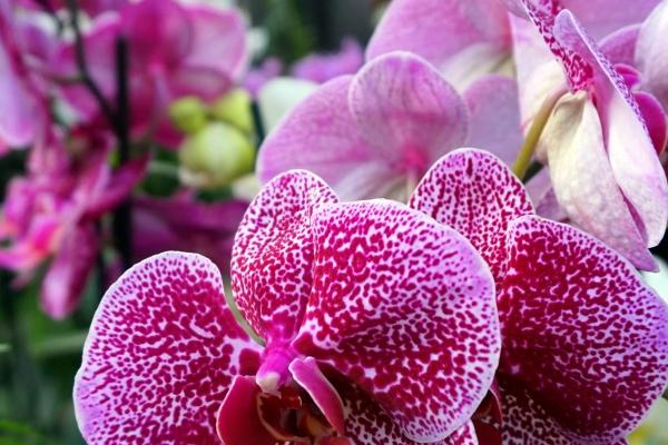 01年是什么属金木水火土