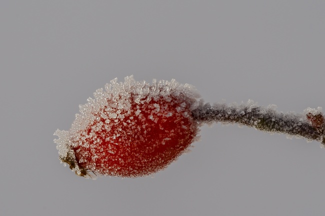 1973年属牛人最难熬年龄