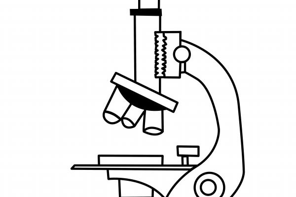 属马人的吉利方位
