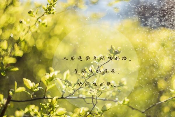 属龙人最好的方向