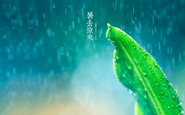 06狗在南方还是北方读书好