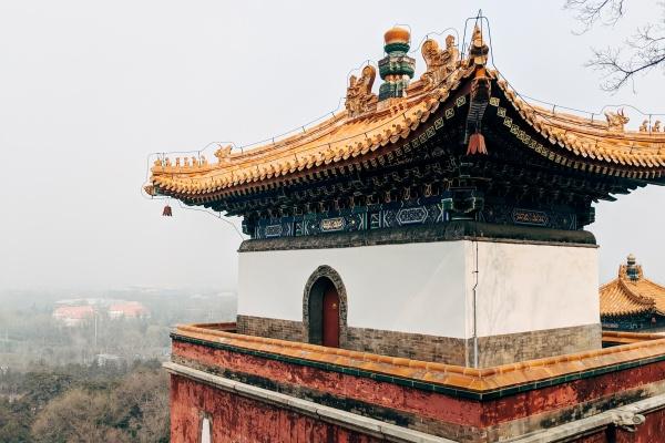 生肖猪斗不过的3个生肖