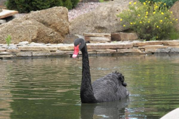 87年属兔女人婚姻最终归宿