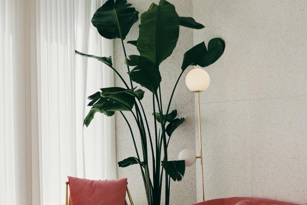 02年属马人一生命运