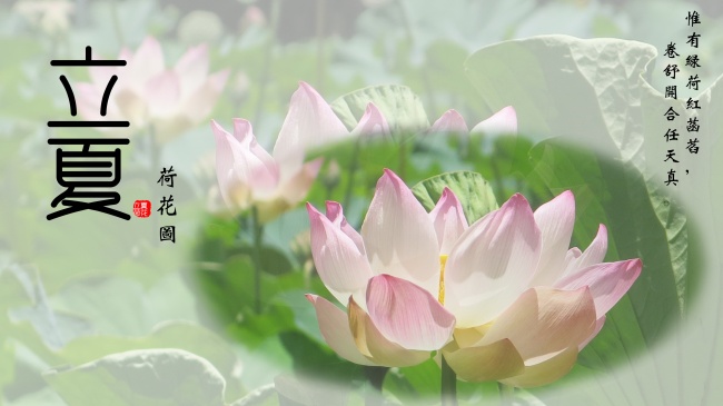 属牛未来十年大运