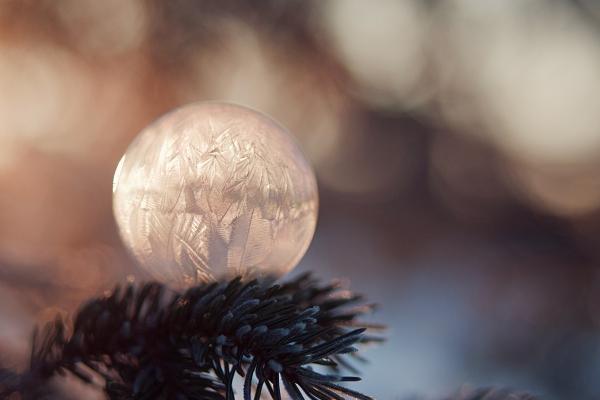 属鼠人不能犯的禁忌