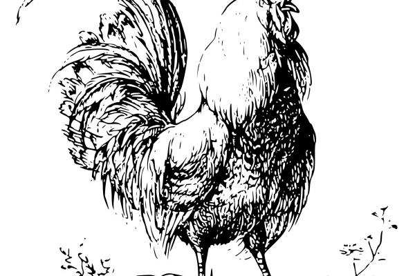 02年8月属马什么命运