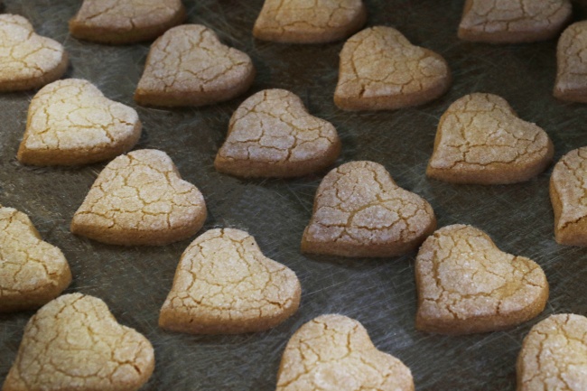 属马人行大运的年份