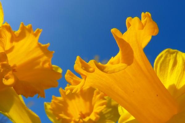 属羊人走大运是哪年