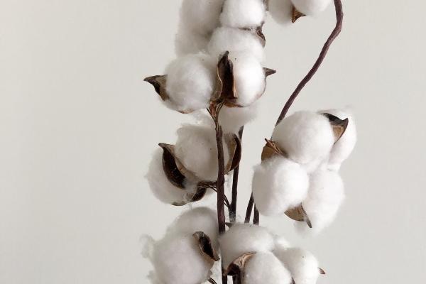 哪个生肖男最痴迷蛇女