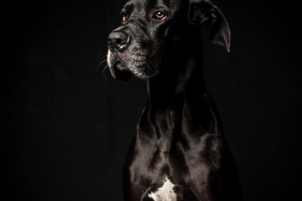 86年属虎女婚姻最终归宿