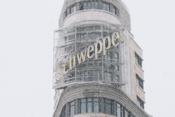 属羊的2025蛇年运势如何呢