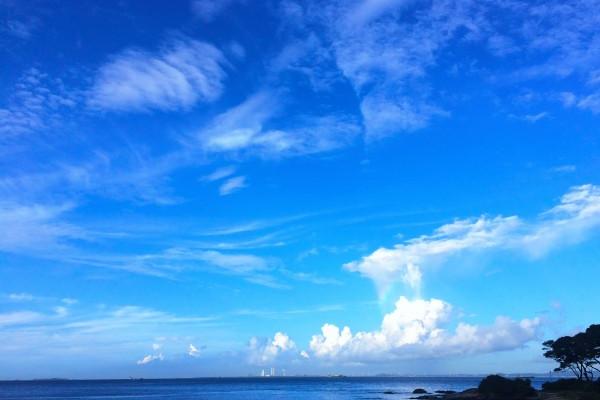 属猴白头偕老的生肖