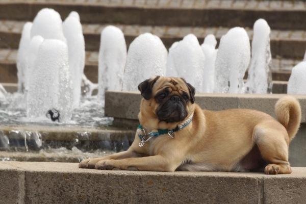 1962年属虎人未来三年运势