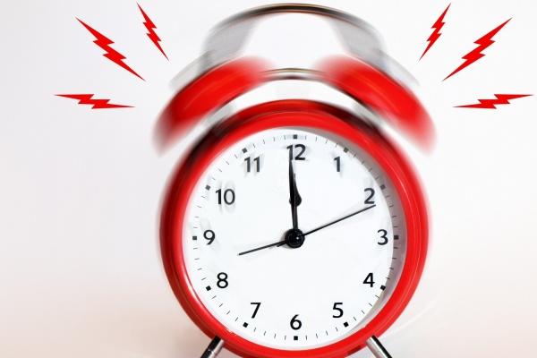 2004属猴二月份出生的命运