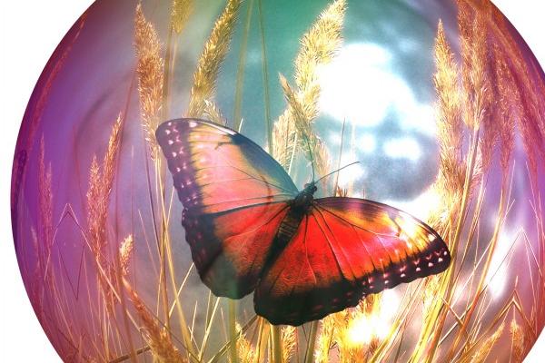 属鸡人的永久幸运颜色