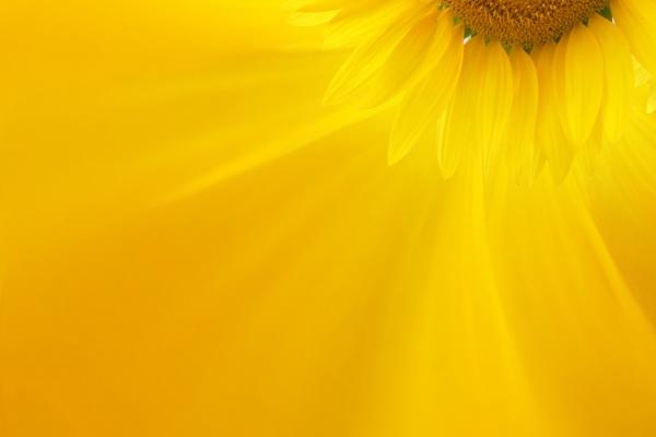 属鼠人不能戴什么首饰