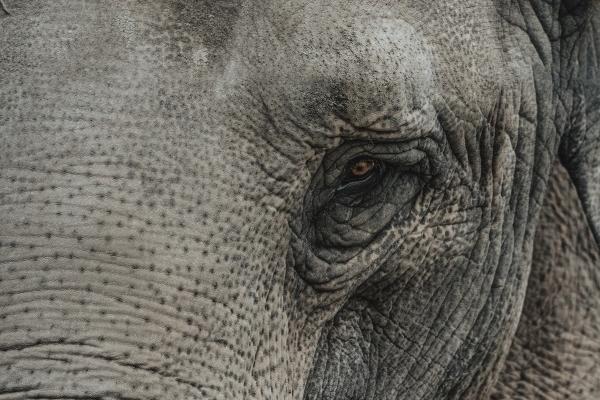 1973年属牛女2025年运势