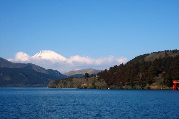 00属龙的正缘桃花是谁