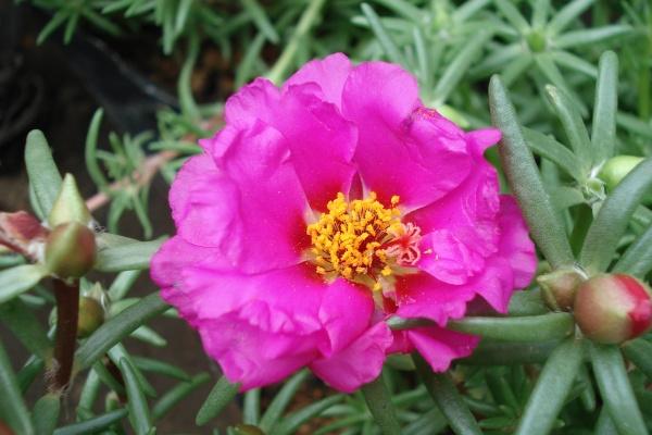 兔年最忌哪个月出生