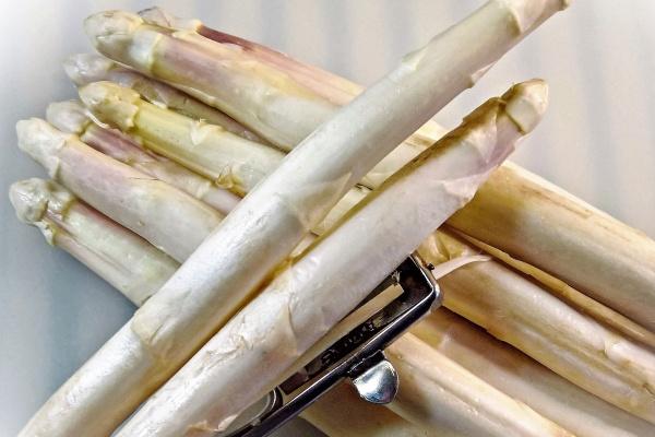 属鼠的孽缘是哪个生肖