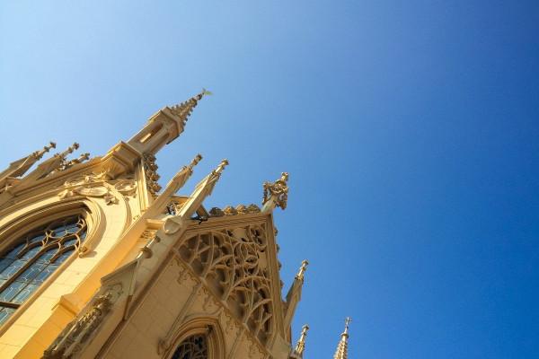 1991年的羊一生命运如何