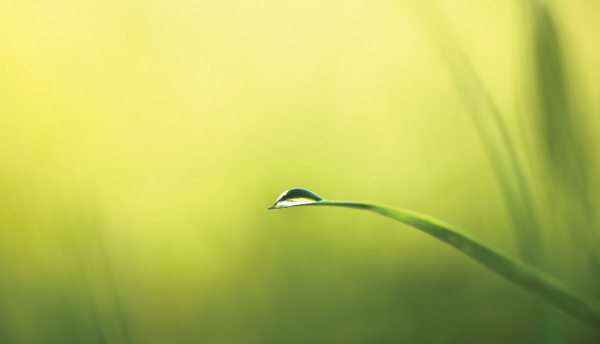 2025年1979年人生肖运程