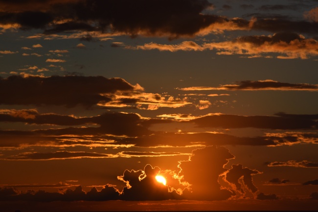 属龙最不敢惹的生肖