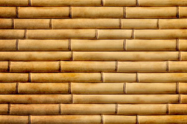 属兔人买房朝向和楼层