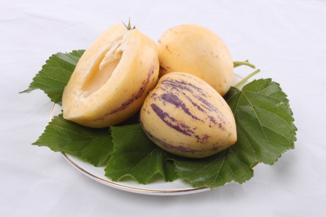 猪在2025蛇年的运势