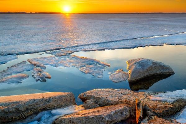 2025属猪的学业运如何