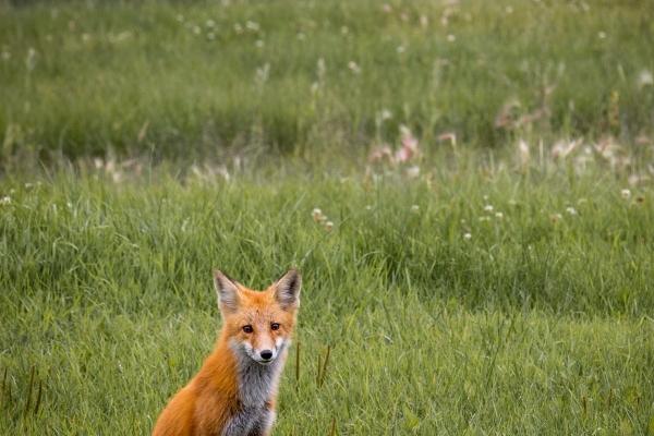 生肖马在2025蛇年运势