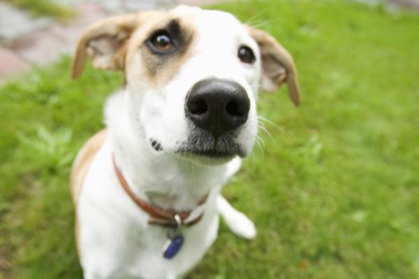 78年属马最难熬的一年