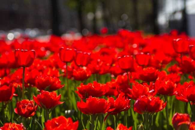 88年二月初三龙男有几次婚姻