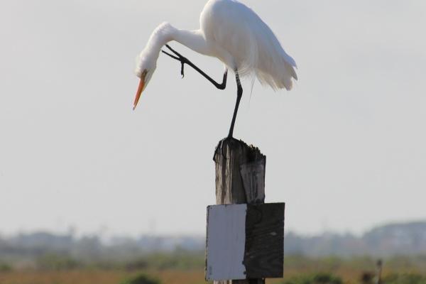 2025年属蛇的运势和财运怎么样