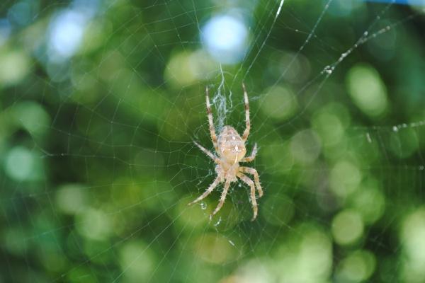 2007年属猪学业去什么方向