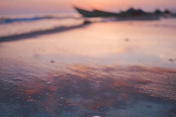 属牛的四大桃花年