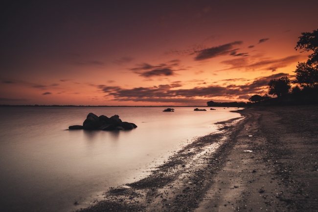 2025年属猪运势如何