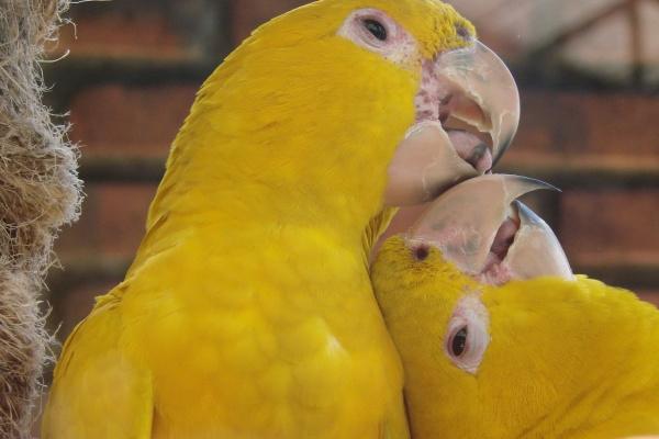 属猴哪一天出生最厉害