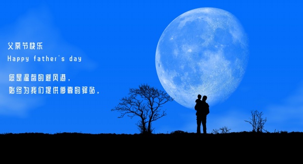 2000年属龙是什么命金木水火土