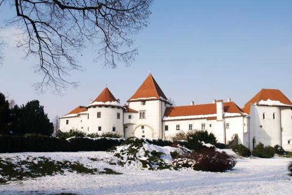 74年属虎男2025的运势