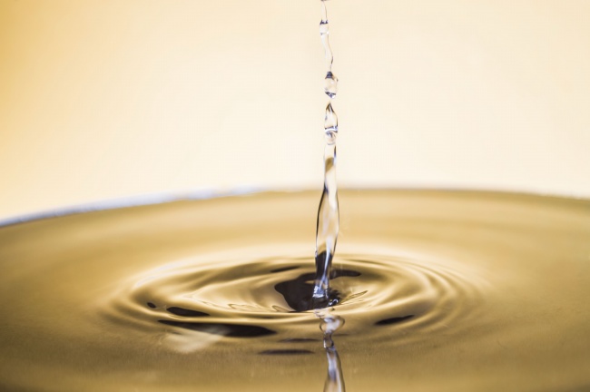 1992年属猴女2025年每月运势