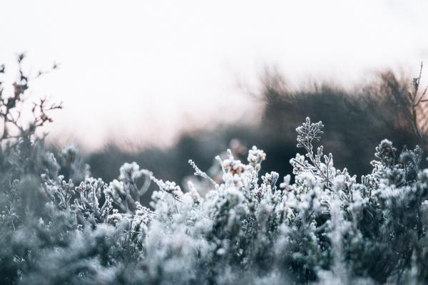 2025属龙人全年12个月运势