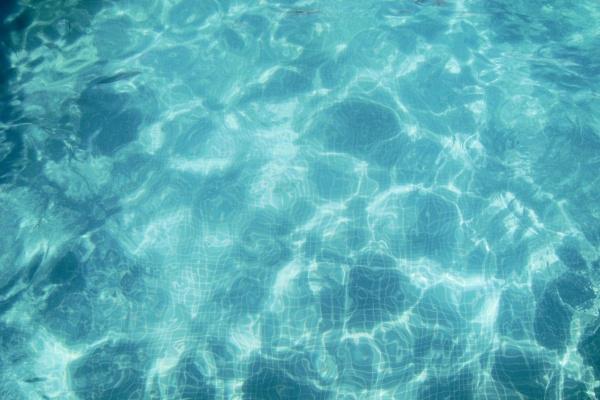 兔和鸡合不合财运，鸡和兔可以合伙做生意吗