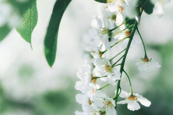 78年属马人2025年运势